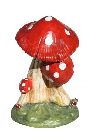AMANITA