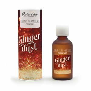 GINGER DUST